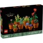 10329 PIANTINE