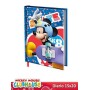 DIARI TOPOLINO
