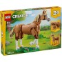 31166 CAVALLO MERAVIGLIOSO