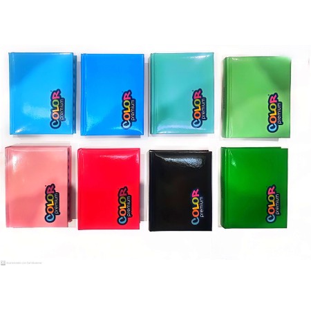 DIARI 16 MESI UNICA TINTA COLOR PREMIUM