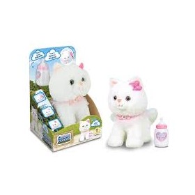 ISOLA DEI CUCCIOLI GATTINO PRIMI VERSETTI