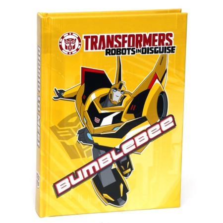 DIARI TRANSFORMER