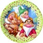 PIATTI PICCOLI 7 NANI