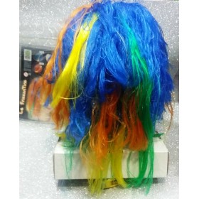 PARRUCCHE FRIZZANTINE COL. ASS. - 2831