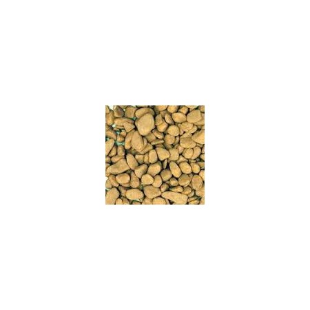 PIETRE MOSAICO BEIGE