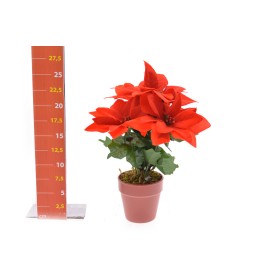 STELLA NATALE C/VASO 24CM ROSSA