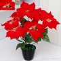STELLA NATALE C/VASO 36CM ROSSA