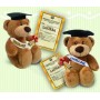 ORSO 30CM CAPPELLO FASCIA E PERGAMENA LAUREA