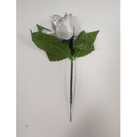 FIORE GAMBO CORTO
