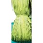 RAFIA NATURALE 50GR VERDE ACIDO