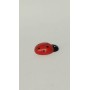 MAGNETE COCCINELLA MAXI
