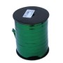 NASTRI CONFEZIONI  31X100MT VERDI P07 PZ 5