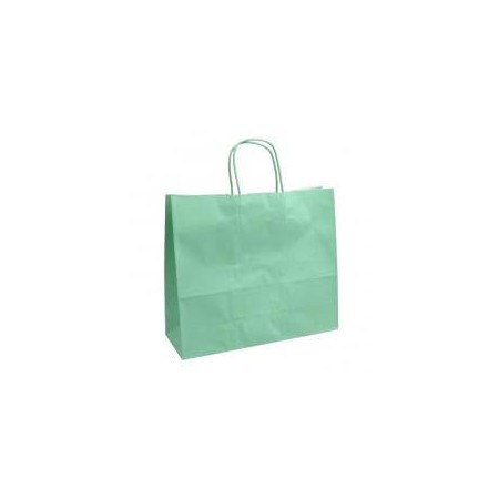 BUSTE C/MANICO 32+13*28 VERDE ACQUA PZ.50