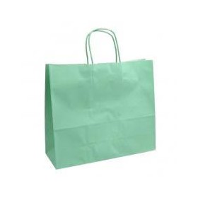BUSTE C/MANICO 55+15*39 VERDE ACQUA PZ.50