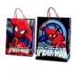 BUSTE CON MANICO SPIDERMAN