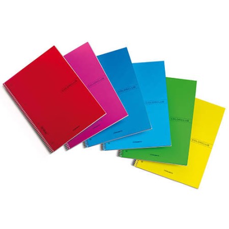 MAXI SPIRALE 21X31 1RG BLASETTI COLORCLUB