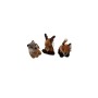 WILD FOREST LIVE MINI FOREST