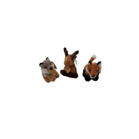 WILD FOREST LIVE MINI FOREST