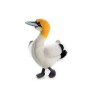 PELUCHE MORUS UCCELLO MARINO 23CM