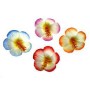 FARFALLE C/PINZETTA SET 2 PZ FIORI