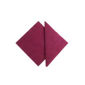 TOVAGLIOLI 25X25 BORDEAUX PZ.100