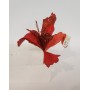 FIORI GAMBO CORTO ROSSO