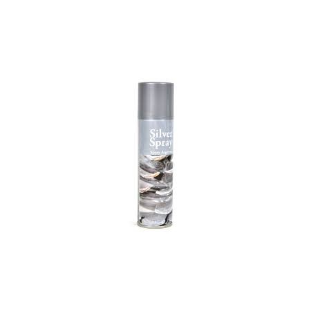 VERNICI SPRAY 150M ARGENTO