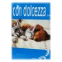 BIGLIETTI FANTASIA CANE/GATTO CECAMI PZ.12