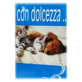 BIGLIETTI FANTASIA CANE/GATTO CECAMI PZ.12