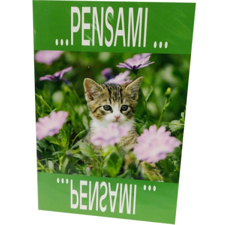 BIGLIETTI FANTASIA GATTO CECAMI PZ.12