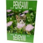 BIGLIETTI FANTASIA GATTO CECAMI PZ.12