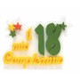 IL MIO 18 COMPLEANNO