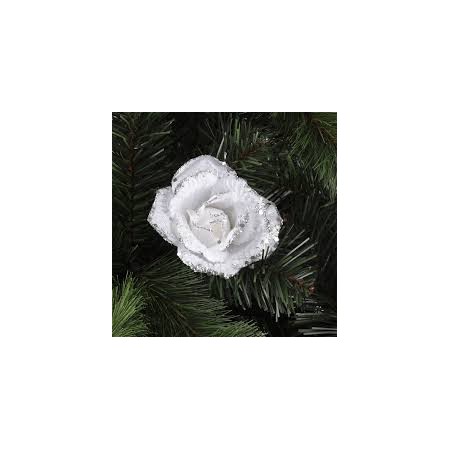 12 ROSE ARG. PZ .