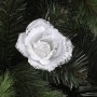 12 ROSE ARG. PZ .