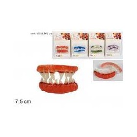 DENTI DI MOSTRO