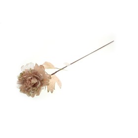 PEONIA GAMBO LUNGO 15X70CM CREMA