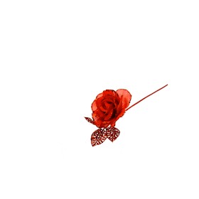 ROSA GAMBO CORTO ROSSO