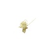 ROSA GAMBO CORTO ORO