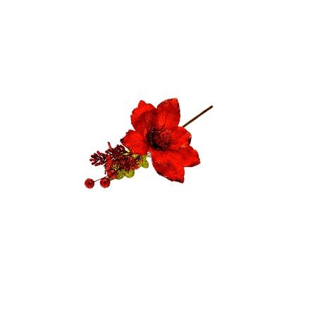 ELLEBORO GAMBO CORTO ROSSO