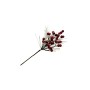 PICK BACCHE ROSSE