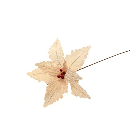 FIORE GAMBO LUNGO PANNA
