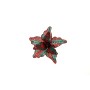 STELLA SCOZZESE GAMBO CORTO VERDE