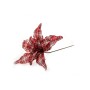 STELLA SCOZZESE BIG GAMBO LUNGO ROSSO SCURO