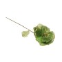 FIORE GAMBO LUNGO VERDE