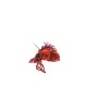 PICK GAMBO CORTO ROSSO