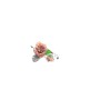 ROSA CON CLIP ROSA