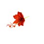 FIORE GAMBO CORTO ROSSO.