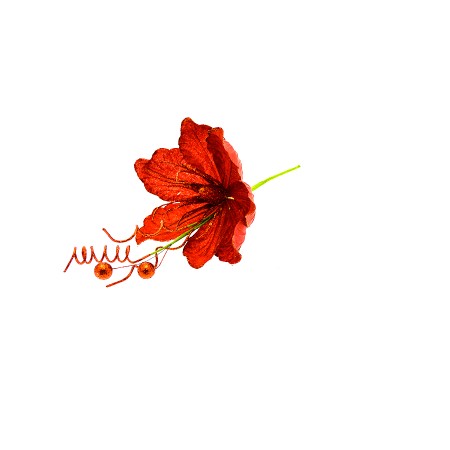 FIORE GAMBO CORTO ROSSO.