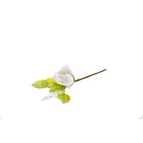 ROSA GAMBO CORTO BIANCO