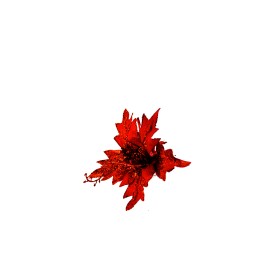 FIORE 5CM ROSSO